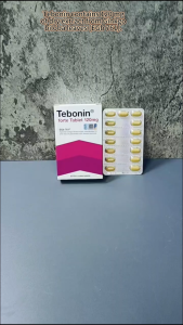 #SokongMalaysia Tebonin forte Tablet 120mg MENARINI Ginkgo biloba folium standardized extract EGB 761 EGB761 天保宁循例寧 銀杏葉 萃取
