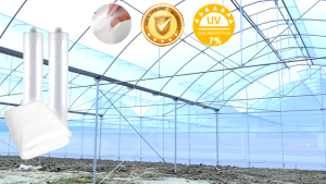 UV Plastic Sheet (8 mil - 200 Microns) - 10ft x 10m - Plastic Roofing greenhouse garden protection