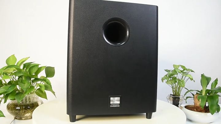 DMSEINC 8 inch Passive Subwoofer Speaker 10 inch Active SUB Woofer ...