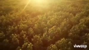 หมอนยางพาราแท้ 100% Natural Latex Pillow series บอกลาปวดคอ นอนกรน กับราคาพิเศษ 4 รุ่นราคาเดียว