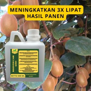 Pupuk Booster Kiwi: Cara Meningkatkan Pertumbuhan Buah