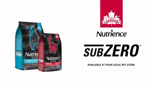 [4.5Kg] Hạt Nutrience Subzero Grain-free Cho Mèo Mọi Lứa Tuổi