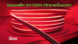 12V/220V NEON FLEX LED ตัดขายเป็นเมตร ไฟ220V สำหรับเครื่องที่ต้องสั่งหัวปลั๊ก