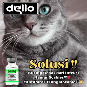 Obat Injeksi Anti Tungau Kucing Perlindungan Maksimal dari Scabies Parasit Fungal & Flea Tick Solusi Membasmi Tungau Caplak DELLO FOR CAT