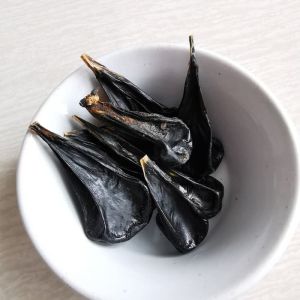 Empedu kering Cobra. Obat kulit. Obat gatal