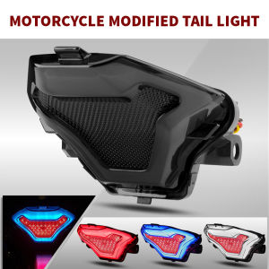 Yamaha YZF R3 R25 MT03 Y15ZR LC150 integrated tail light turn signal