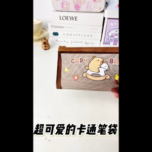 BECORATE Capybara Pencil Case - Transparent Mesh Large Capacity Cute Stationery Bag for Students Office School Supplies - 20x10cm
