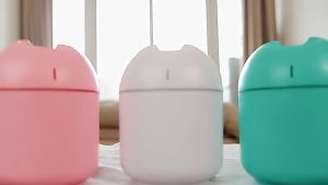 Mini Ultrasonic Humidifier Essential Oil Diffuser LED Light USB 250ml Mist Maker Car Air Freshener