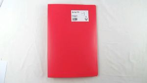 EAGLE FILES Map Spring / Map Plastik Snelhecter F4 (Folio)