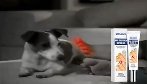 Kem loại bỏ hết sạch nấm móng vàng móng ngứa móng WEST & MONTH Chống Nhiễm Trùng Móng bỏ nấm nhiễm trùng kem dưỡng và kháng khuẩn cho móng chân tay thêm bóng khỏe