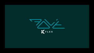 TARGET K FLEX DARTS FLIGHT-【 No.2/No.6】 ROVE K-Flex Dart Flights