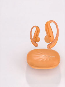 TANALAZ | Wireless Bluetooth Ear-hook Open-ear Noise-canceling Headphones