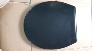 Nắp bồn cầu màu đen màu xám và màu trắng làm từ nhựa UF hoặc PP  có cả nắp bồn cầu trứng mã C29