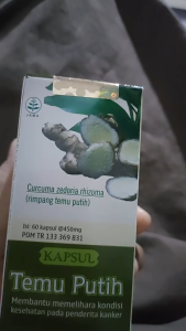 Ekstrak Kapsul Temu Putih: Obat Herbal Kista Ovarium & Endometriosis isi 60