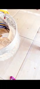 VỢT HÁI TRÁI CÂY TRÊN CAO GIÚP CẮT LUÔN CUỐN TRÁI LƯỚI CƯỚC .