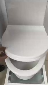 Bathroom Ultra-thin Non-Electric Buttocks Cleaning Smart Bidet AttachmentSelf-Cleaning Double Nozzle Adjustable Water Pressure