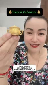 FENG SHUI LUCKY Charm 2026 Zodiac Fate Attracts the Wealth Keychain Lucky Charm for Business Success and Money