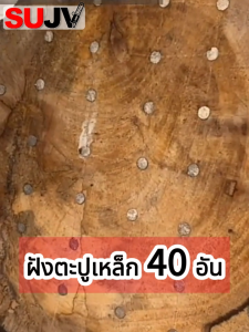 โซ่ + บาร์ 3/8-325 11.5นิ้ว-24นิ้ว บาร์โซ่ พร้อมโซ่ โซ่ผ่าไม้ โซ่เลื่อยยนต์ ไม่ยืดง่าย ไม่หักตลอดไป