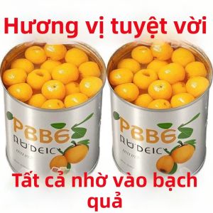 Trái Loquat Sẵn Ăn Ở Chai