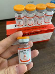 HAN-PROST (2ml 5ml) tan thể vàng hẹn đẻ lợn trâu bò chó mèo