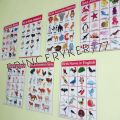 Educational Animals Chart - Laminated A4 Size, Educational Wall Chart. 