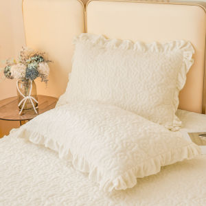Winter Coral Milk Velvet Pillowcases Princely Cotton Filled Thickened Pillow Covers Pair Single Size 48x74cm Universal Use