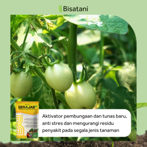 Serajab 250gr Pupuk Plan Aktivator Bunga Nutrisi Bunga dan Tunas Anti Stress Tanaman