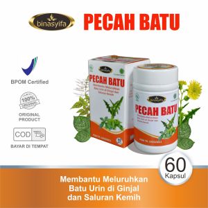 PECAH BATU Obat Ginjal Infeksi Saluran Kencing Batu Ginjal