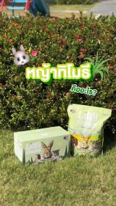 Tiny Kingdom หญ้าทีโมธี อัลติเมทพรีเมียม หญ้ากระต่าย หญ้าแห้ง สำหรับกระต่ายและสัตว์ฟันแทะ