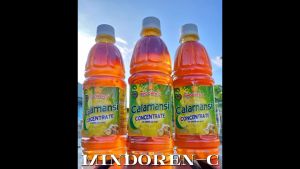 Calamansi Concentrate with Ginger & Honey Pure Juice Extract Organic No Preservatives All Natural Citrus Lime for Kids Adults and Family Mindoren -C Alliswell Harvest Solo Family Pack