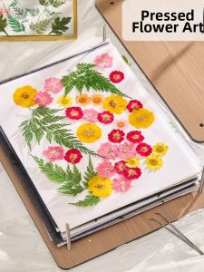 Plant Specimen Pressing Tool Kit DIY Flower Press