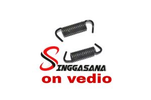 2 PCS / PER KAMPAS REM BELAKANG HONDA GL PRO HARGA SEPASANG