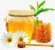 Hawwa Grey herbal