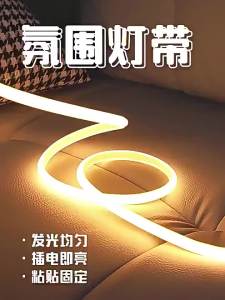 jiuxin lighting | Atmosphere Non-Flicker Eye-Protective Bright Waterproof Self-Adhesive LED Light Strip 220V