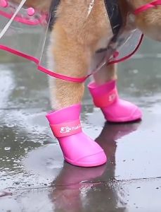 Giày đi mưa cho Chó Mèo (Bộ gồm 4 chiếc) - Love pets shop