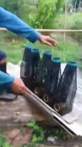 ตุ๊มดักปลาไหลงาพลาสติก 10 ลูก 400 บาท (Duck Liver Pâté, 10 Pieces, 400 Baht)