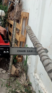 🛠🔨MAKTEC เลื่อยโซ่ไร้สาย 11.5 นิ้ว แบบไร้สาย รุ่น 259V (AAA)  ความยาวบาร์โซ่ 405 MM. อุปกรณ์ครบ พร้อมใช้งาน <💥 รับประกันสินค้าตรงปกแน่นอน🔥💯> CMK