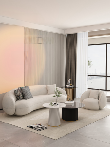 Modern Minimalist Sofa Northward Reception Curved Shape Living Room Small Model Creative Furniture for Clothing Store