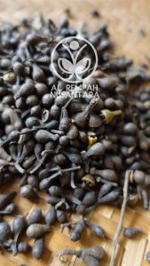 Biji Ceplikan atau Ceplik Sari kering 100gr - Asli Hutan
