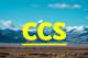 CCS52 STORE