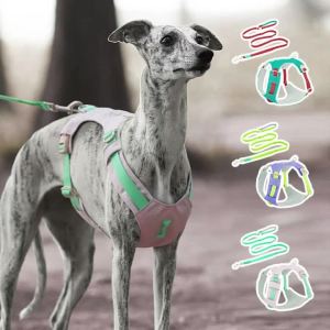 HamshMoc Pet Walking Set 360° Rotation Adjustable Handle LED Light Slot Alloy D Ring Outdoor Safety