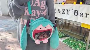 Bandai | Hatsune Miku Shoulder Bag Backpack Cute Anime Plush Cartoon Kawaii Knapsack Student Bag Packet For Gifts Toys.