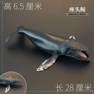 Childrens Simulation Ocean Mammal Toy Model Humpback Whale Fin Whale Giant Arm Whale Cognitive Gift Display Model Plastic Toys
