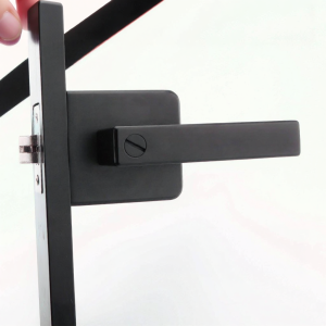 ZUOLEJIA | Ultra-thin Simple Titanium Aluminum Magnesium Alloy Door Lock