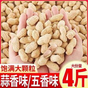 Dried Boiled Peanuts Garlic Five-spice Salt Flavor