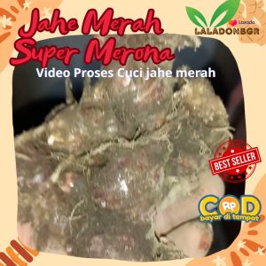 jahe merah 1kg super medan fresh segar ekonomis bersih kotor