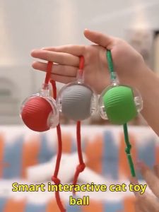 Interactive Cat Ball Toy Automatic Rolling Ball for Indoor Cats Rechargeable electric Smart Cat Toy