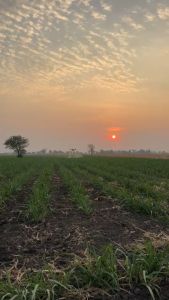 ชุดทำความสะอาดโดรน DJI พร้อมสเปรย์ขัดสีและแปรงสีสันหลากหลาย