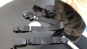 Kเข็มขัดนิรภัย เซฟตี้เบลล์ แบบล็อค3จุด เข็มขัดเซฟตี้ แบบดึงกลับอัตโนมัติ เข็มขัดนิรภัยรถยนต์ Seat Belt ใหม่สีดำ Universal 3 จุดเบาะนั่งรถยนต์อัตโนมัติ Lap เข็มขัดปรับได้ ส่งฟรี เข็มขัดนิรภัย 3จุด Auto ความยาวสายพานปรับได้: 84 ซม. - 340 ซม. / 33.1 - 133‘’‘