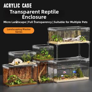 BARBAROUS GROWTH | Transparent Acrylic Reptile Habitat Box